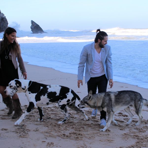 fotografia profissional de retrato de cães com os donos na praia